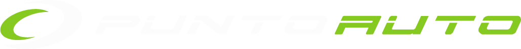 PuntoAuto