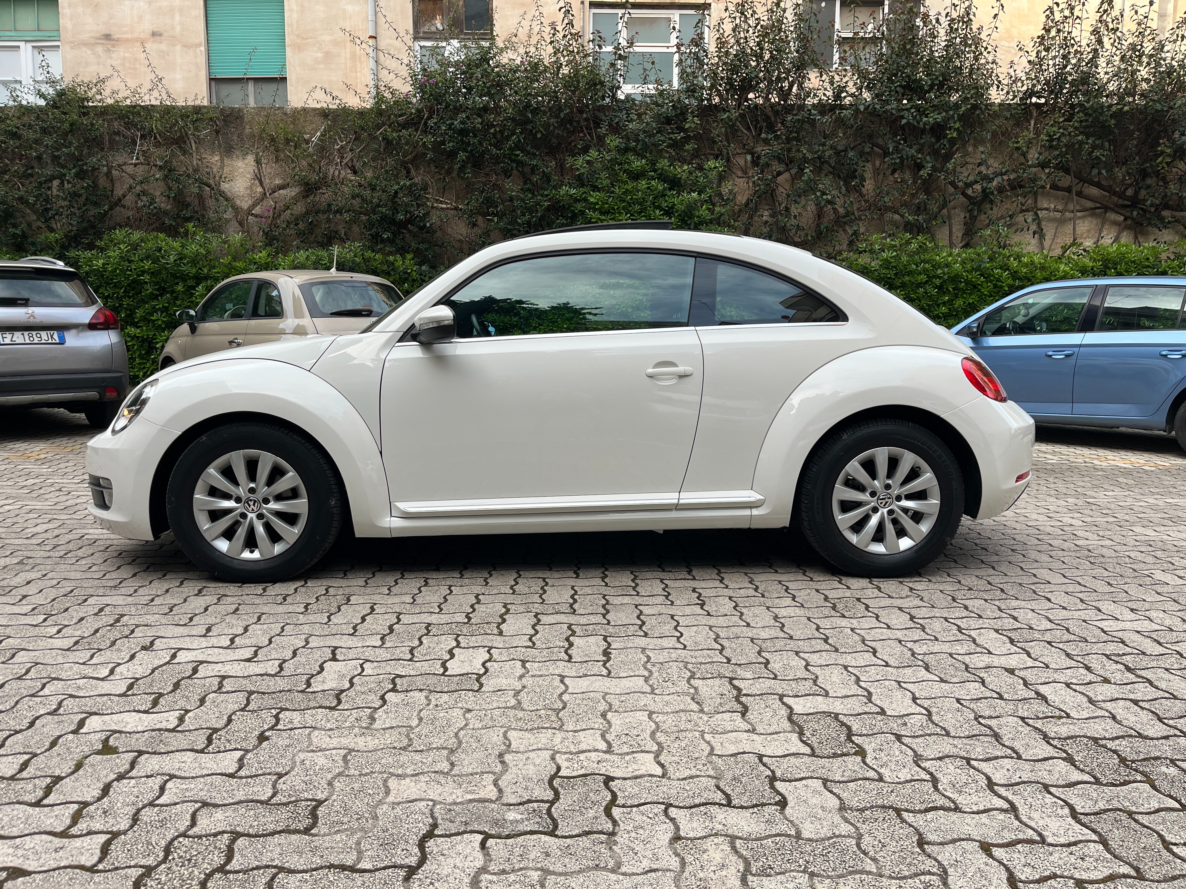 VOLKSWAGEN Maggiolino